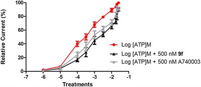 Synthesis, Biological Evaluation, and Molecular Modeling Studies of New Thiadiazole Derivatives as Potent P2X7 Receptor Inhibitors